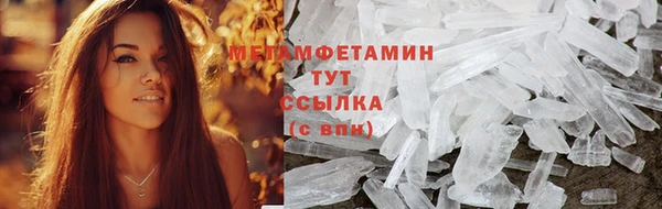 крисы Алексин