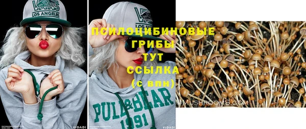дмт Аркадак