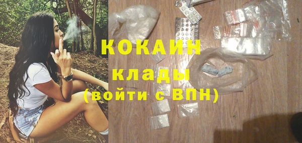 дмт Лиски