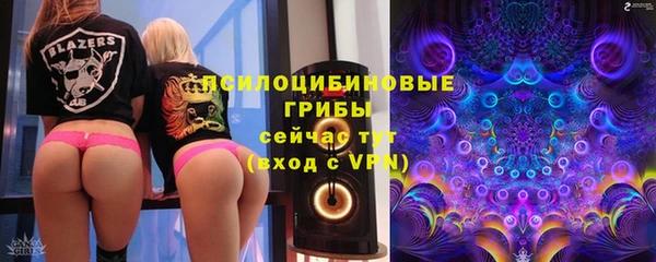 крисы Алексин