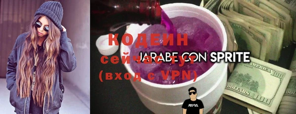 спиды Алзамай
