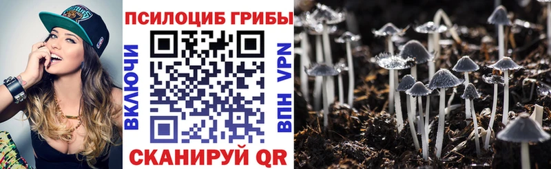 Галлюциногенные грибы GOLDEN TEACHER  Алейск 