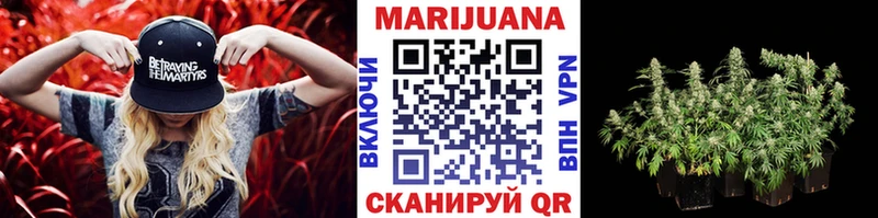 Марихуана сатива Алейск