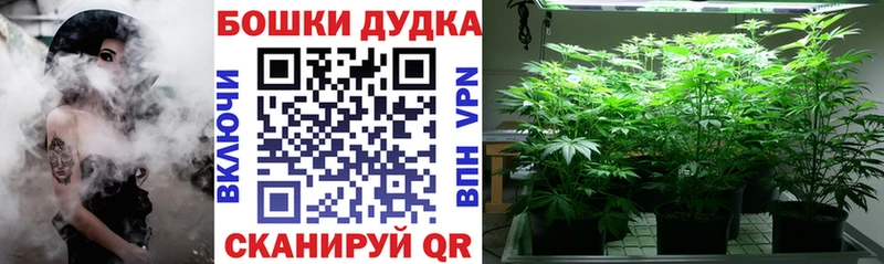 дарк нет официальный сайт  блэк спрут сайт  Алейск  МАРИХУАНА план 